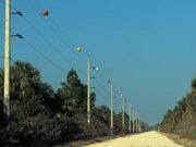 Bright Markers Serve a Quiet but Critical Role Above the Landscape