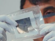 Paper Batteries Aim to Redefine Sustainable Consumer Electronics