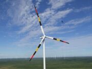 Snake-Inspired Wind Turbine Designs Could Help Protect Birds