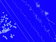 Recyclable Elastic Yarn Could Transform the Future of Stretch Fabrics