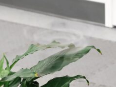 Spinning Drone Blurs the Line Between Visibility and Stealth