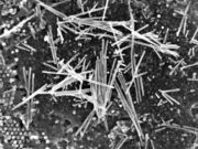 Quantum Nanowires Challenge Copper’s Limits in Future Microchips