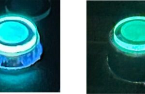 Common Plastic Additive Makes Stretchable OLEDs Brighter and More Flexible