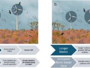 Wind Farms Need Smarter Strategies to Protect Birds and Bats