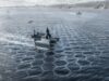 Quantum Systems Adds Seavex, Subvex to MOSAIC UXS