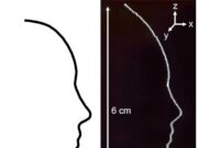 3D Printing with Ice Creates Self-Supporting Complex Structures