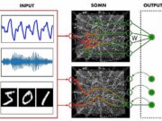 Physical AI Turns Hardware Into a Learning Neural Network