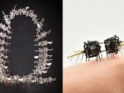 AI Gives MIT’s Tiny Flying Robot Insect-Like Agility